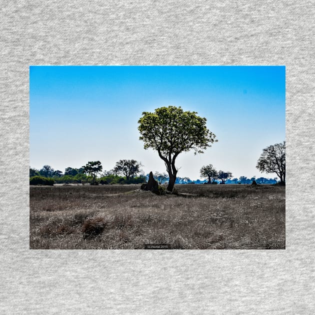 Trees and Termite Mounds by Steves-Pics